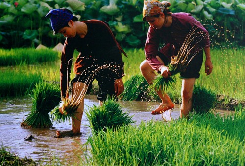 A glimpse of Vietnam through photo exhibition  - ảnh 8